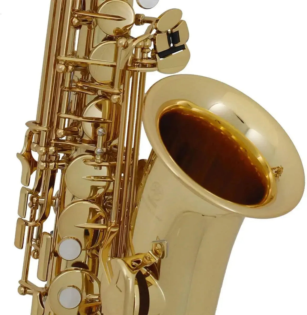 Professional User Alto E-Key Saxophones with Full Sets Accessories - USMOD0123 AliExpress-Dropship