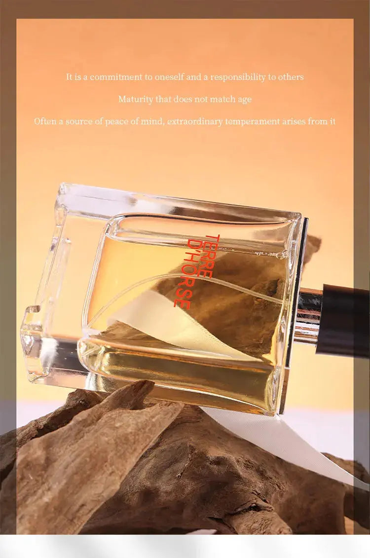 Best-selling Brand Men's Perfume Long-lasting - USMP0174 AliExpress-Dropship