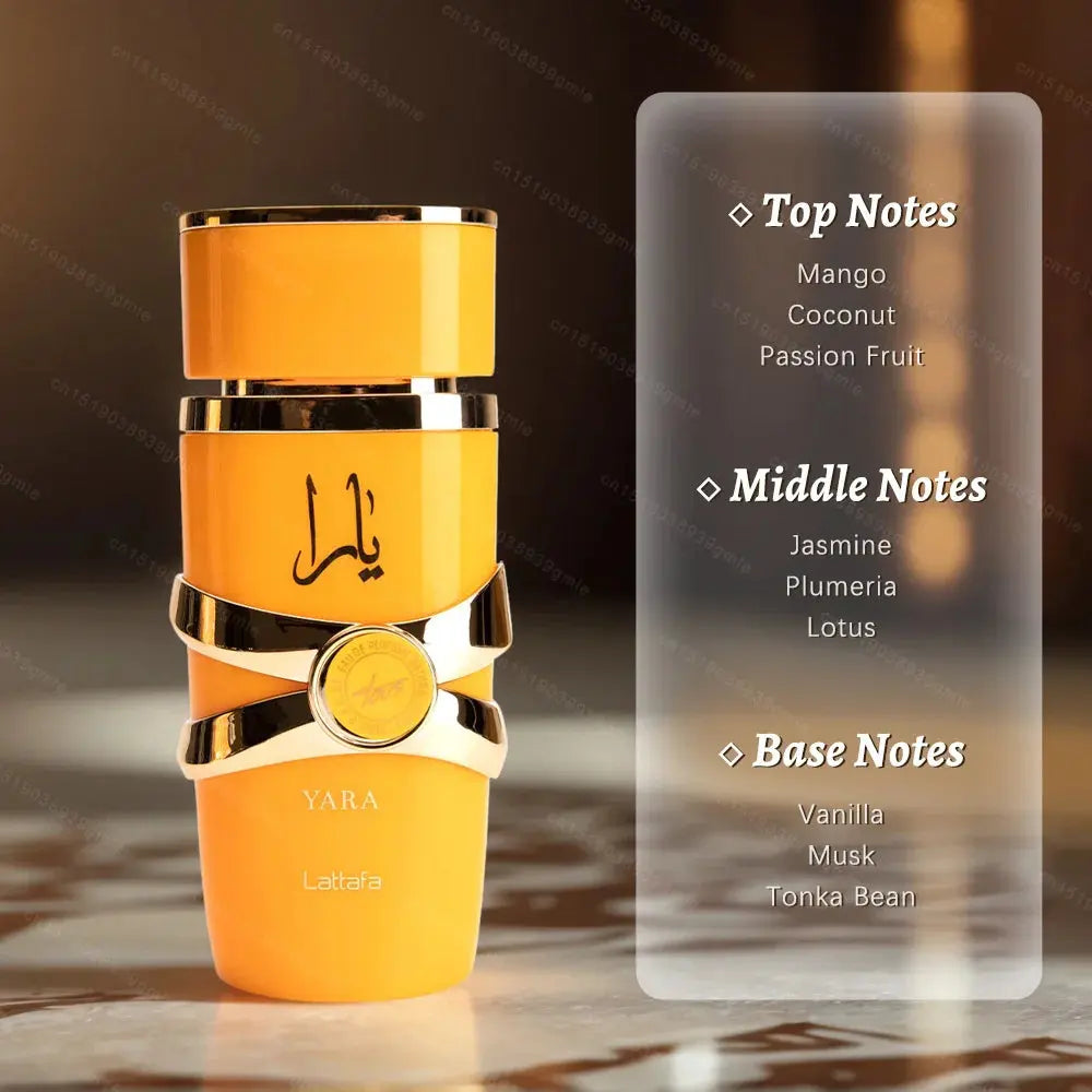 Best-Selling Arabic Perfume & Cologne Set for Women & Men - USMP0155 AliExpress-Dropship