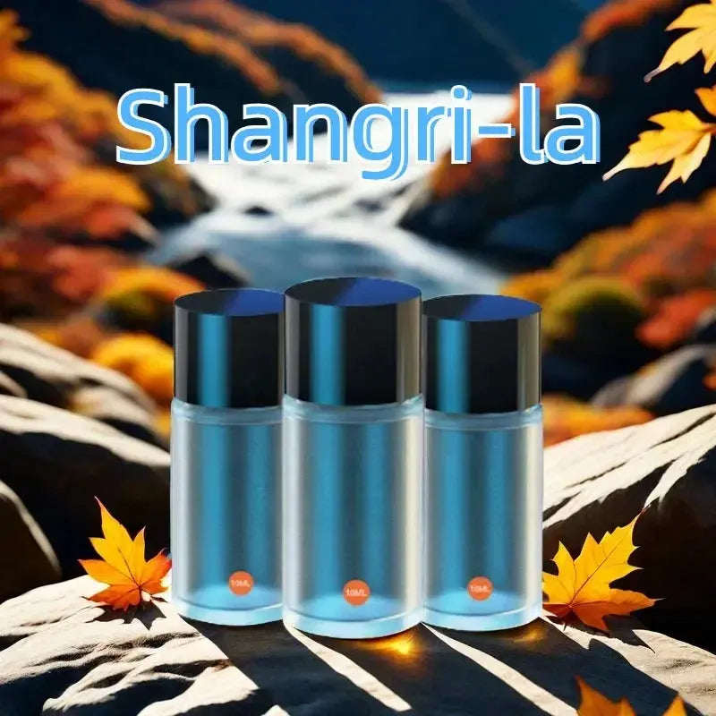 Popular And Best-Selling Car Perfume - USMOD0157 AliExpress-Dropship