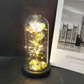 Gift for Girlfriend Eternal Rose LED Light Flower Luminous Decoration - USMGD0190 AliExpress-Dropship