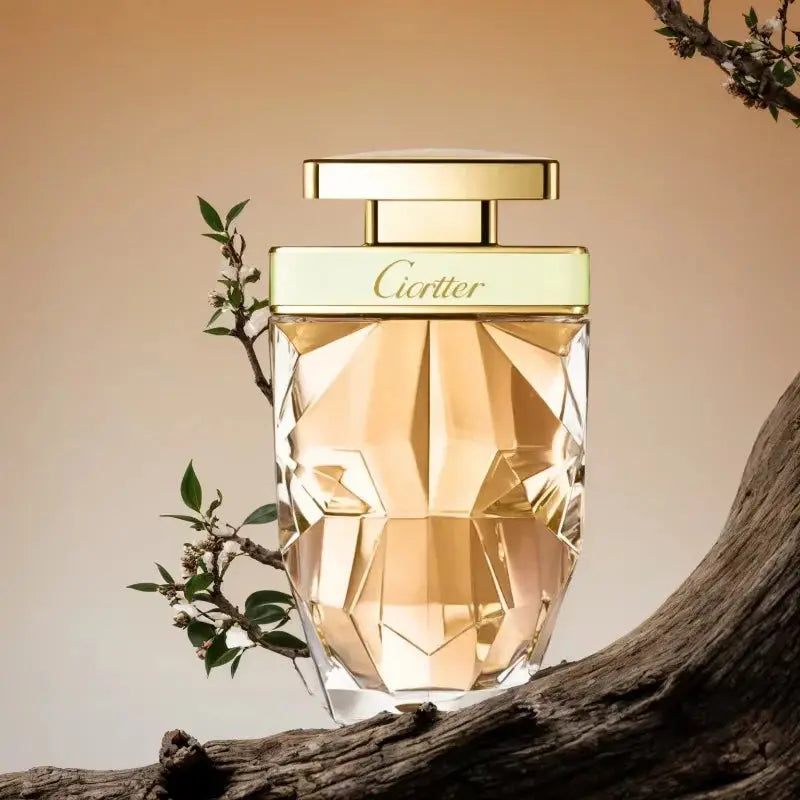 Best Seller Brand Perfume Cheetah Gift Box - USMP0168 AliExpress-Dropship