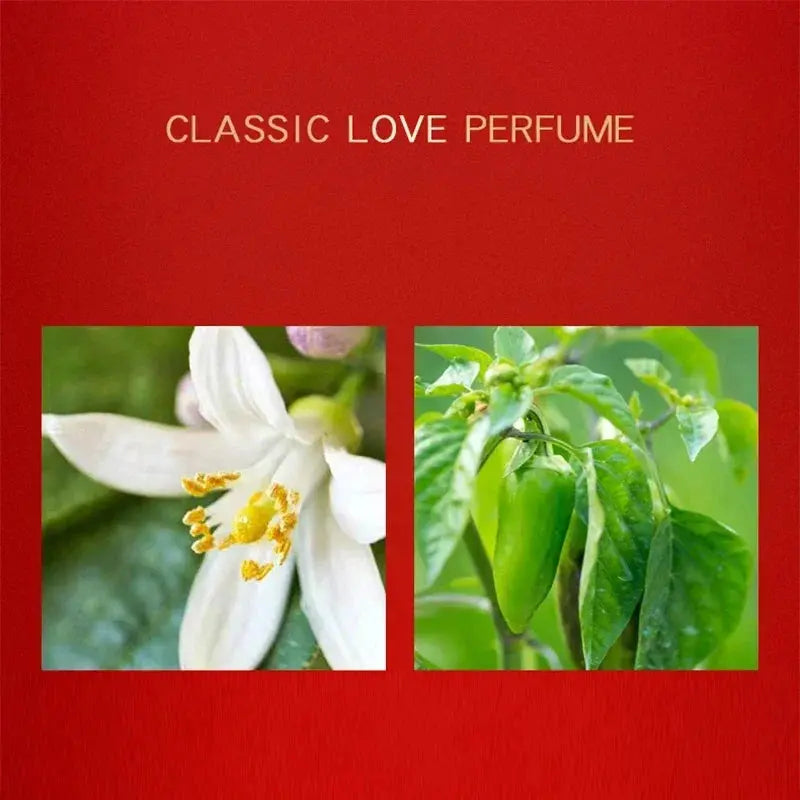 Fashion Perfumes Perfumer-Created Scent Perfume Men - USMP0151 AliExpress-Dropship