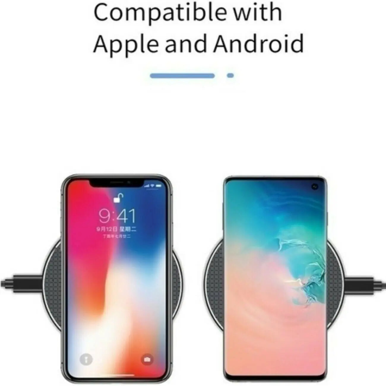 495629801